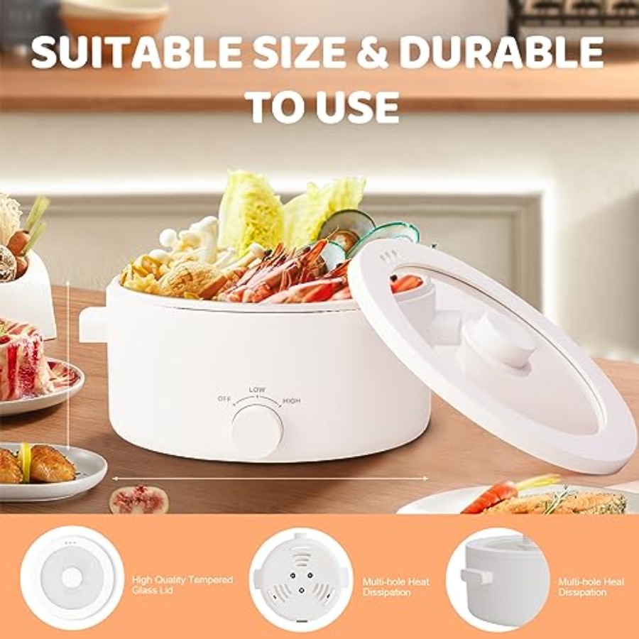 3L Portable Electric Hot Pot w - Hot Pot Portable Dual recensione e prezzo